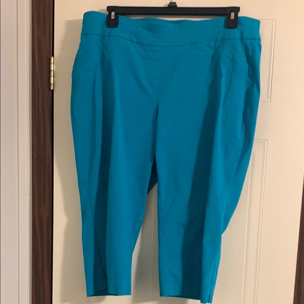 Vibrant Teal Cropped Pants
